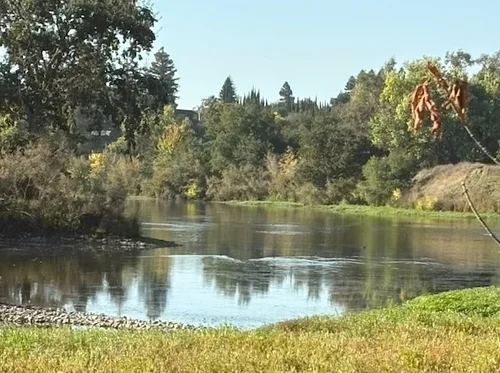 Greater Sacramento/Sierra Chapter – Paint/Sculpt-Out at William B Pond Recreation Area in Carmichael
