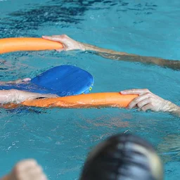 Free Swim Instructor Training