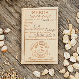 Seed Lending Library