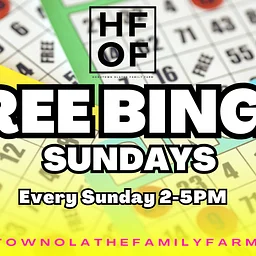 Bingo Sundays!