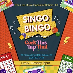Singo Bingo