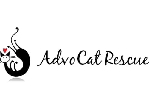 Advocat Rescue at the Museum of the Moving Image, Queens