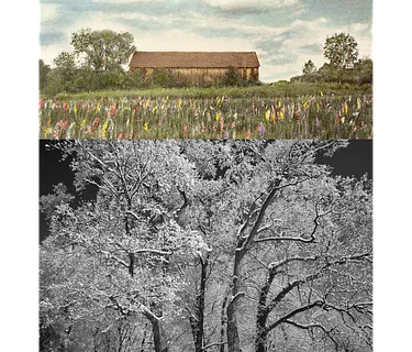 Seasons of Change Art Exhibit: Laurie Tavino and Ray Pioggia