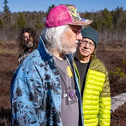 Dinosaur Jr.