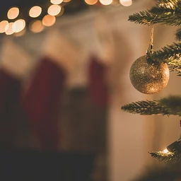 CBAA Member Meeting/Holiday Party