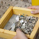 Science Surprises: Fossils