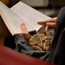 Rescue Readers (Adult Reading Program)