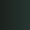 Catch & Release: Fishing Series (Morning Event)