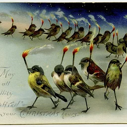 Litchfield Hills Audubon Christmas Bird Count