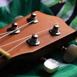 Uke with Luke