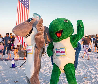 Run for the Turtles 2026