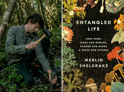 Cover to Cover, Naturally! A Nature Lover’s Book Club