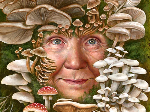 Fourth Annual Realms of Fungi - Opening