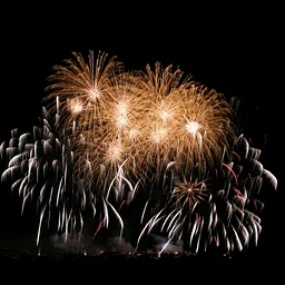 NEW YEAR'S DAY