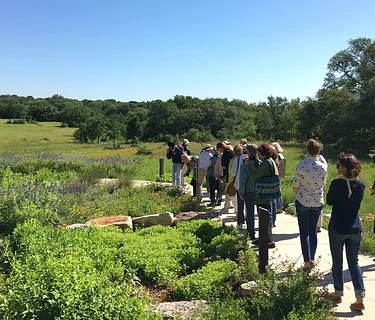 Nature Immersion Walk (Sold Out)