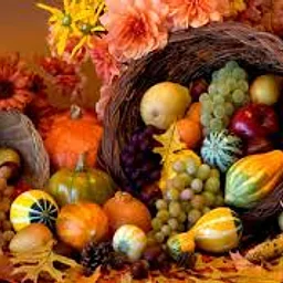 Wednesday, November 25th