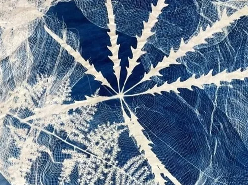 Cyanotype Jam!