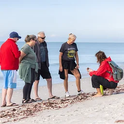 Guided Beach Walk @ Sanibel Moorings