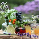 From the Garden: Botanical Mixology