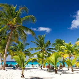 The Boca Chica Experience-A Day at the Dominican Beach Food Demonstration and Tasting