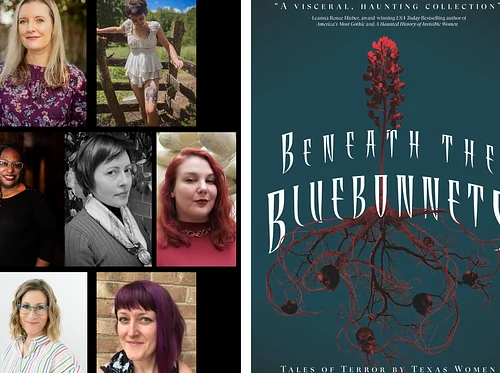 Beneath the Bluebonnets Book Launch Party