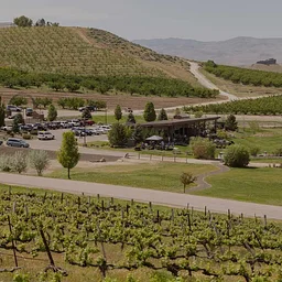 Sunnyslope Wine Festival at Ste. Chapelle