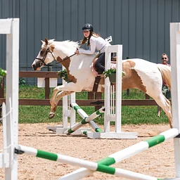 Fall Horse Show