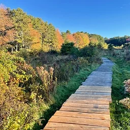 Women’s Walk