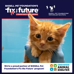 August BISSELL Spay Day - Cats Only