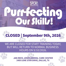Closed for Staff Training