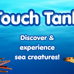 Touch Tank