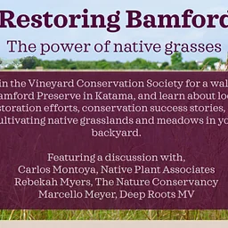 Restoring Bamford