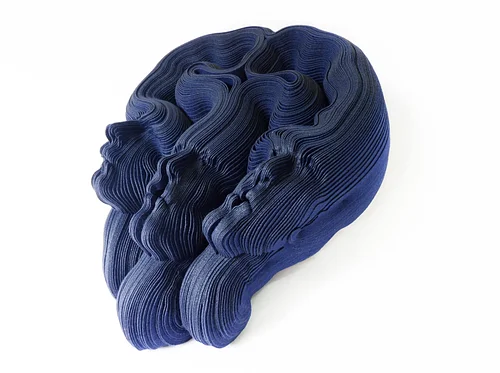 Opening Reception: The Situated Body