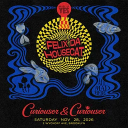 Curiouser & Curiouser: Felix Da Housecat