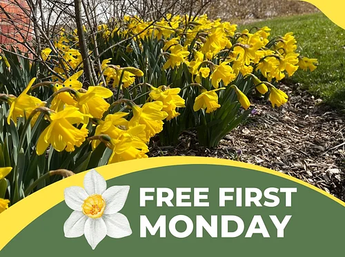 Free First Monday