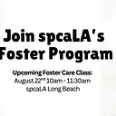 Foster Training Class – August 22nd
