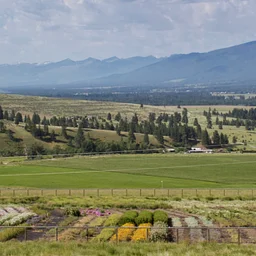 MPG Ranch native seed farm – Victor
