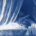 Gender Expression Through Cyanotype: Exhibit Cyanotype Artwork