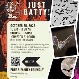 Just Batty!
