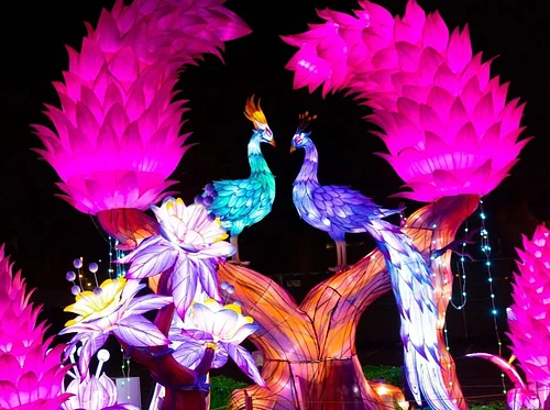 (Sensory Friendly Night) Animals Aglow