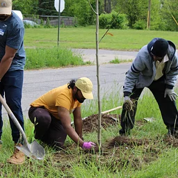 Detroit Community Tree Planting