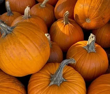 Family Fun Days: Halloween with DAC & the Library 2026