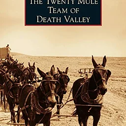 High Noon – History of the Twenty-Mule Teams program (Virtual Zoom)