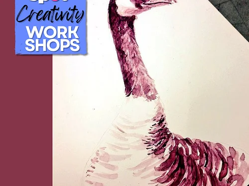 Class: Bird Illustration & Anatomy (2 day class)