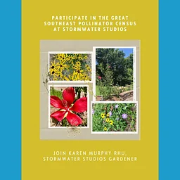Great Southeast Pollinator Census at Stormwater Studios
