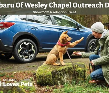 Subaru of Wesley Chapel Outreach Day