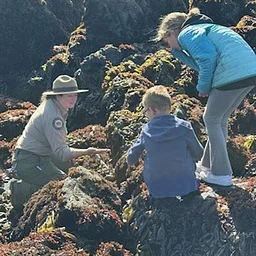 Biodiversity Week Sunset Tide Pooling (MacKerricher)