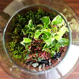 Mini Terrarium Building Workshop with Bestow