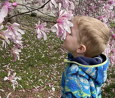 Nature Nook: Spring Session