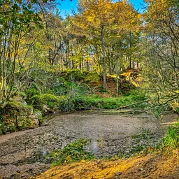 Hocking Soil and Water Conservation